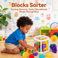 Balls Sensory Kid Blocks Blocks Blocks Rainbow Sorter Cube BabyToy Educational Early
