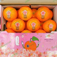 Jeruk Mandarin mikam sakura japan 5 kg | box