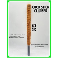 Ready Stock FIBER COCO STICK FOR PLANT