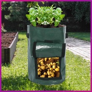 [zdgoarqj] Garden Planting Bag PE Fabric Pot Taro Tomato Fruits 5Gallon Potato Grow Bag
