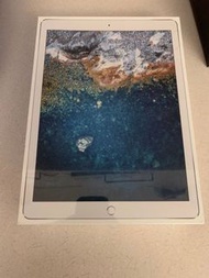 APPLE 銀 iPad Pro 12.9 二代 256G 約近全新 高容量 刷卡分期零利 無卡分期