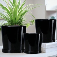 Ceramic Black Vase 🌳 Pasu Seramik / Pasu Bunga / Pasu Hitam / Flower Pot 黑色陶瓷花盆