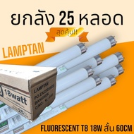 [ยกลัง 25 หลอด] หลอดฟลูออเรสเซนต์ T8 18W 60cm / 36W 120cm แสงขาว