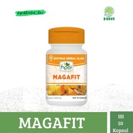 Magafit HNI HPAI Chronic Ulcer Medicine And Gastric Organs, Acute Ulcer Solution.