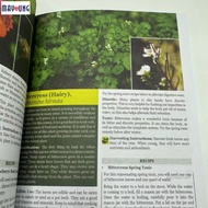 Mayoung Natural Remedies Guide Book Discover Ancient Healing Secrets and Unlock the Power Suitable f