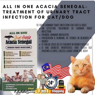 Pet Care Professional Cat Care Probiotics Supplements