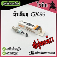 INT (Genuine Japan) Spark Plug GX35 For Lawn Mower GX35 Model GX35