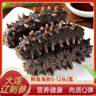 即食海参大连野生海生单个装辽参刺参鲜活非干货Ready-to-Eat Sea Cucumber Dalian Wild Sea Cucumber Single Pack Fresh Non-Dried