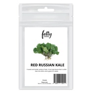 Garden Vegetable Seeds Fatty Seeds – Red Russian Kale