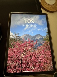 Apple iPad Pro 11 吋 第 4 代 M2 晶片