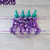 Titanium Bolts GR5 Bolts GR5 Titanium Umbrella Bolts Body Frame M5x15 Original