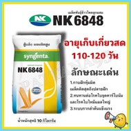 NK6848 ขนาด 3หุน/3.5หุน น้ำหนัก 10 กิโลกรัม