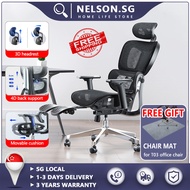 NELSON Ergonomic Office Chair Adjustable back Breathable Mesh Chair  Removable cushion Computer Desk Chairwith Dynamic Lumbar Support Height Adjustable 3D Headrest