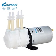 Water Pump 24v12v Pump Self-priming Pump Double-headed Miniature Large Flow Small Water Pump Househo