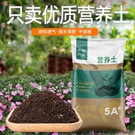 小杨厂长有机营养土肥料花土植物通用营养土多肉种植有机泥炭土盆栽种菜土 有机营养土10L