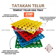 Egg TRAY - Plastic Egg Tray Egg Tray/ Chicken Egg Tray/ Duck Egg Tray/ Egg Tray/