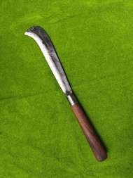 มีดปะขอปากนก(รุ่นกลาง)เป็นมีดปะขอปากนกที่ใช้หวดหญ้าถางป่าได้ดีทำจากเหล็กแหนบแท้100%