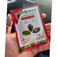 Bedbug killer Spray Bedbug Spray Dustmite Control PHama kutuচারপোকার ঔষধ ছারপোকা নিমিশে শেষ Carp