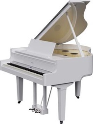 【全新型號!!】ROLAND GP-9 Digital Grand Piano 🎹 | 海港城門市 | 數碼鋼琴| 電鋼琴 | 免費送貨 | 三年保養