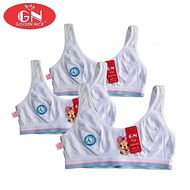 (6pc) Miniset Golden Nick 361 | Teenage Underwear | Children's Miniset | Teenage Miniset - Kshop
