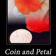 (魔術小子) [B2821] PETAL TO COIN by JL Magic 硬幣變花瓣