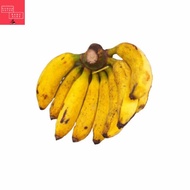 pisang raja 1 sisir