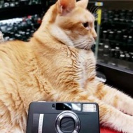 FUJIFILM NATURA BLACK F1.9 95% NEW