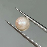 83300N- UNTREATED AKOYA PEARLS FOR SALT WATER (with one hole drilled, very light spleen)
