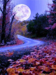 Photocustom 60x75 Modern Painting By Numbers Diy Frame Handpainted Pictures By Number Scenery Colori