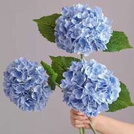 18/9pcs Artificial Hydrangea Bouquet - Realistic Silk Hydrangeas, Perfect For DIY Wedding Bouquets, 