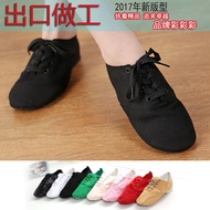 Dance Shoes Adult Children Dance Shoes New Style Practice Shoes Women's Dance Shoes Dance Shoes Danc