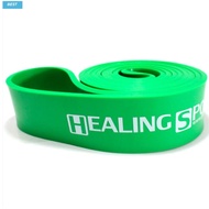 5-Level Resistance Pull-Up Assist Band Chin-Up, Home Workout & Mobility (Green)