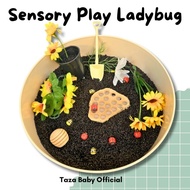 MATAHARI Sensory Play Ladybug and Planting Sunflowers Sensory Play Plant Sunflowers/ Sensory Play Be