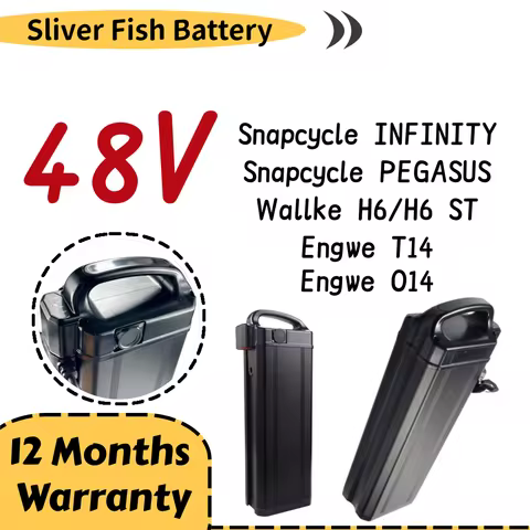 Engw T14 O14 48V 20.8Ah 25Ah 30Ah Sliver Fish Battery for Snapcycle INFINITY PEGASUS Wallke H6 H6 ST
