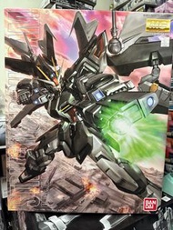 MG 1/100 STRIKE NOIR GUNDAM