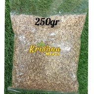 Jintan Kasar Biji | Fennel Seeds | Sauf | Adas Manis | Jintan Manis