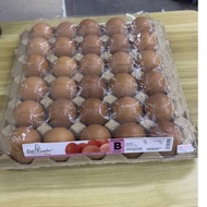 QL Fresh Eggs 30s Grade B