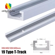 ONLYEMY 1Pcs T-Track, 300-600mm T Slider Fixture Slot Slide T-Slot Track, Slide Guide Rail 19 Type 1