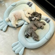 寵物pet貓cat狗dog夏天透氣床墊