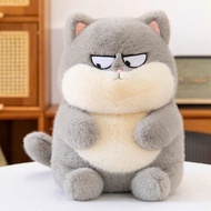 Fat Cat teddy bear - high quality teddy bear.