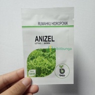 Benih Bibit Bejo Anizel Biji Selada Batavia Lettuce Hidroponik Import