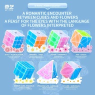 Qiyi 7pcs Ice Amber cube 3x3 Magic Cube Axis Cube QY Ice Amber Pyraminx Lite Ivy Cubo Puzzle Toys Ch
