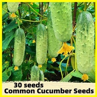 Crispy Cucumber Seeds - 30 Seeds High Yield Cucumber Vegetable Seeds for Planting Fruit Seeds Biji Benih Buah Buahan