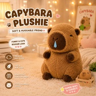 [READY STOCK]Capybara Plushie 30/50/90cm Kawaii Cute TikTok Viral Plushie Comel Gebu Birthday Gift D