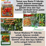 Paket Hemat tomat New Rania f1+ madona F1 paket lebih murah dapet tomat berkualitas tahan virus