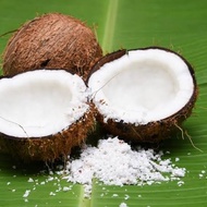 Kelapa Parut Segar 1 buah Kelapa Utuh