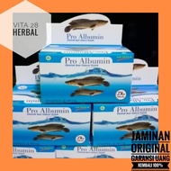 KAPSUL PRO ALBUMIN EKSTRAK IKAN GABUS ORIGINAL HERBAL PASCA OPERASI