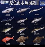 原色海水魚圖鑑三 全十二種