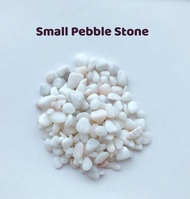 Aquarium Decoration Small White Pebbles Stone(0.5-2cm) 1kg/2kg/10kg