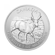 2013 RCM Pronghorn Antelope 1 oz .9999 Silver Coin in Capsule